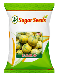 Sagar 60