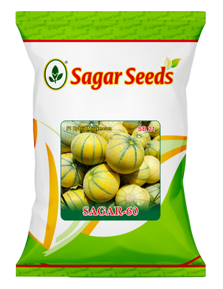 Sagar 60
