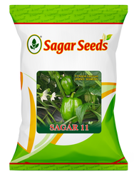 Sagar 11