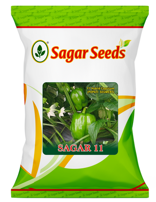 Sagar 11