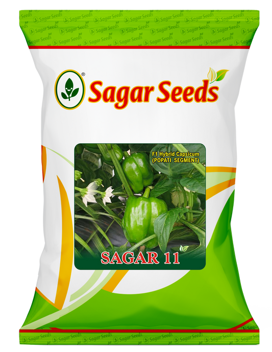 Sagar 11