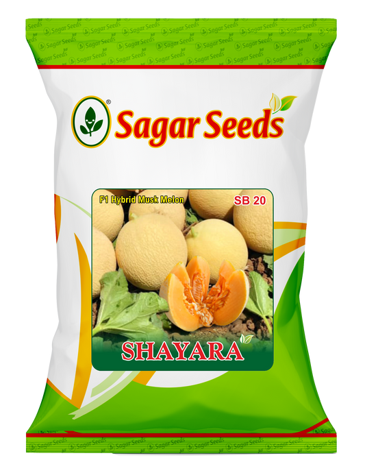 Shayara