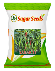 Sagar 31