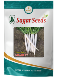 Sagar 47
