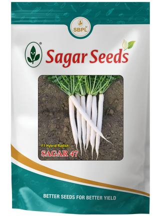 Sagar 47