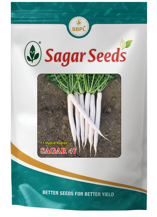 Sagar 47