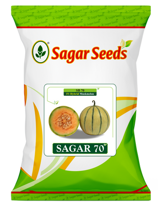 Sagar 70