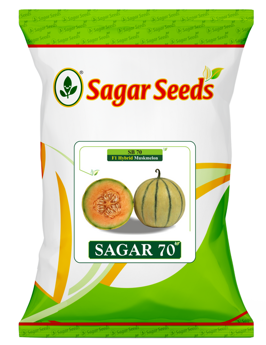 Sagar 70
