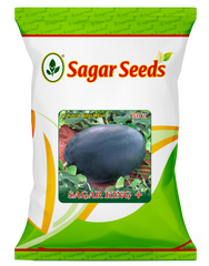 Sagar King + Plus