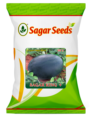 Sagar King + Plus
