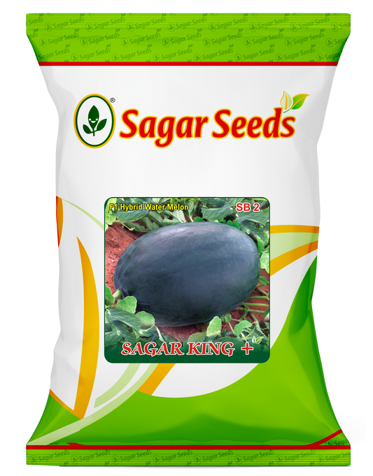 Sagar King + Plus