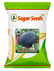 Sagar king