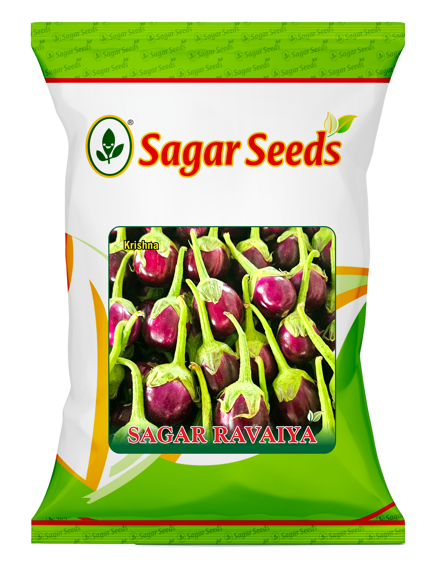 Sagar Ravaiya