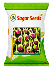 Sagar Ravaiya