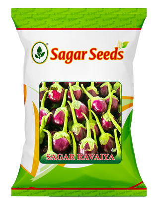 Sagar Ravaiya