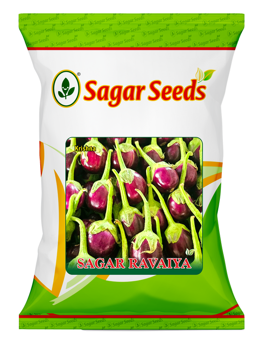 Sagar Ravaiya