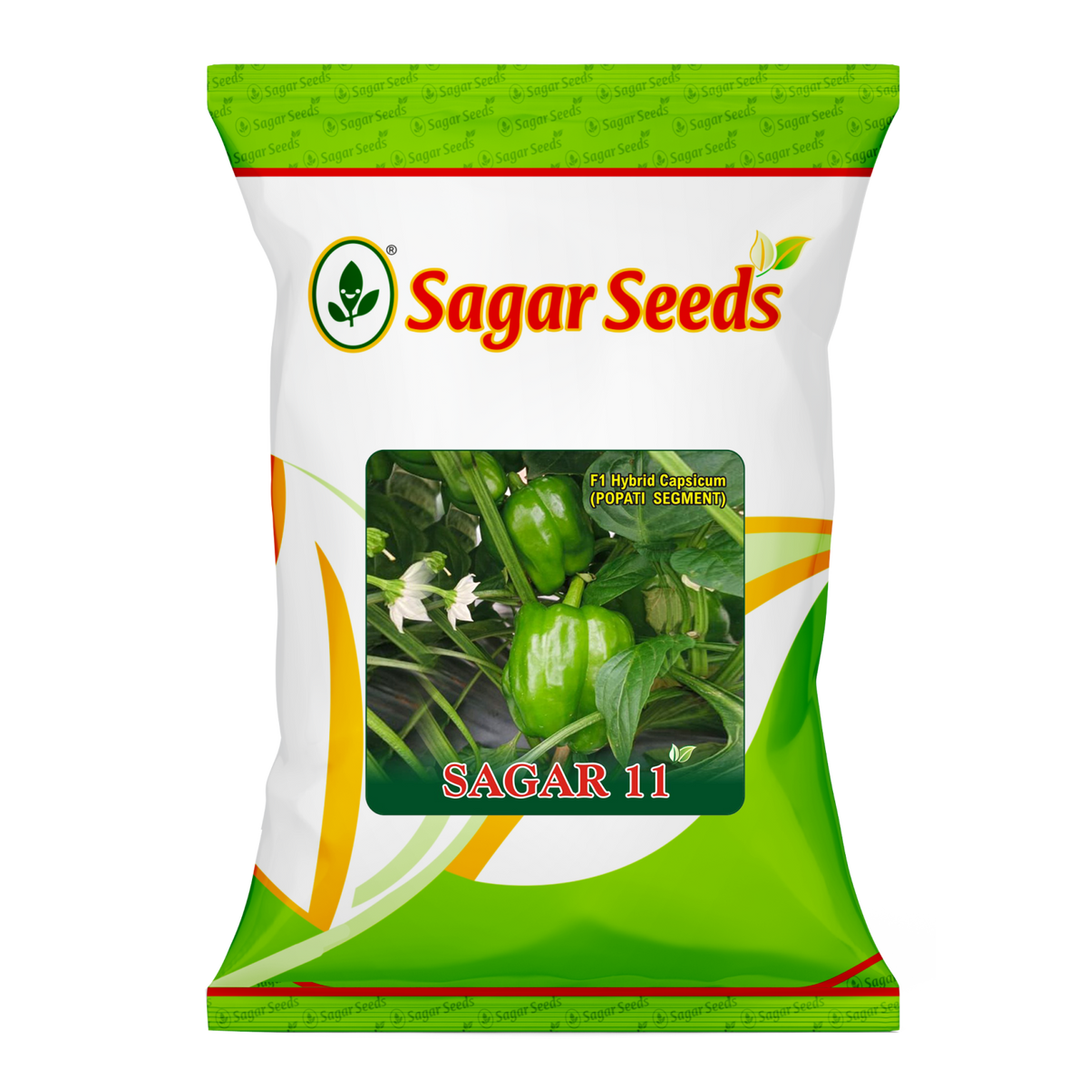Sagar 11
