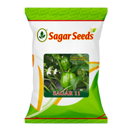 Sagar 11