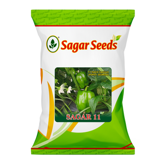 Sagar 11