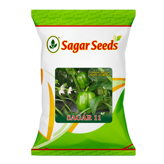 Sagar 11