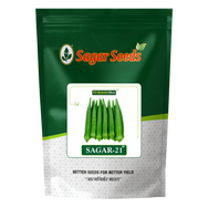 Sagar-21
