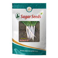 Sagar 47
