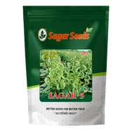 Sagar 5