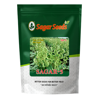 Sagar 5
