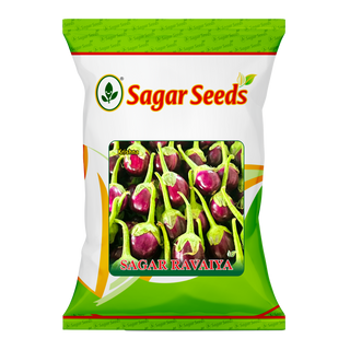 Sagar Ravaiya