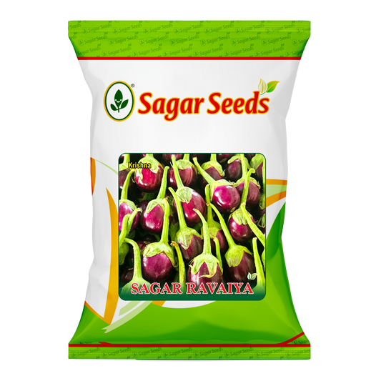 Sagar Ravaiya