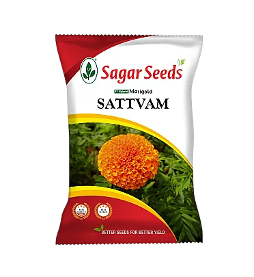 Satvam