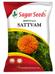 Satvam