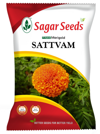 Satvam