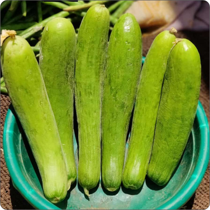 Shravani