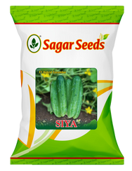 Siya