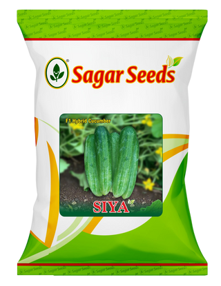 Siya