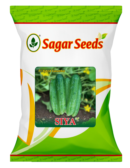 Siya
