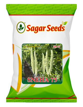 Sneha 75