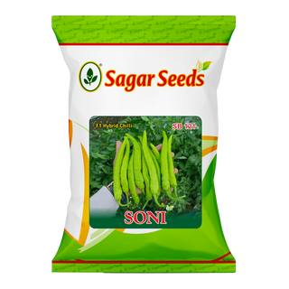 Soni Chilli Seeds | Uniform, High-Yielding Chilli Variety