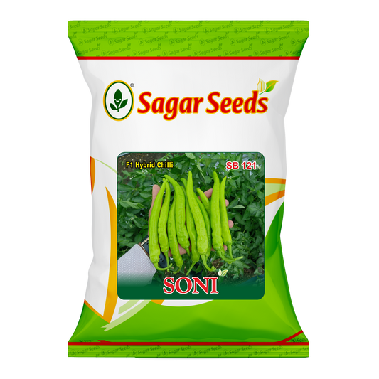 Soni Chilli Seeds | Uniform, High-Yielding Chilli Variety