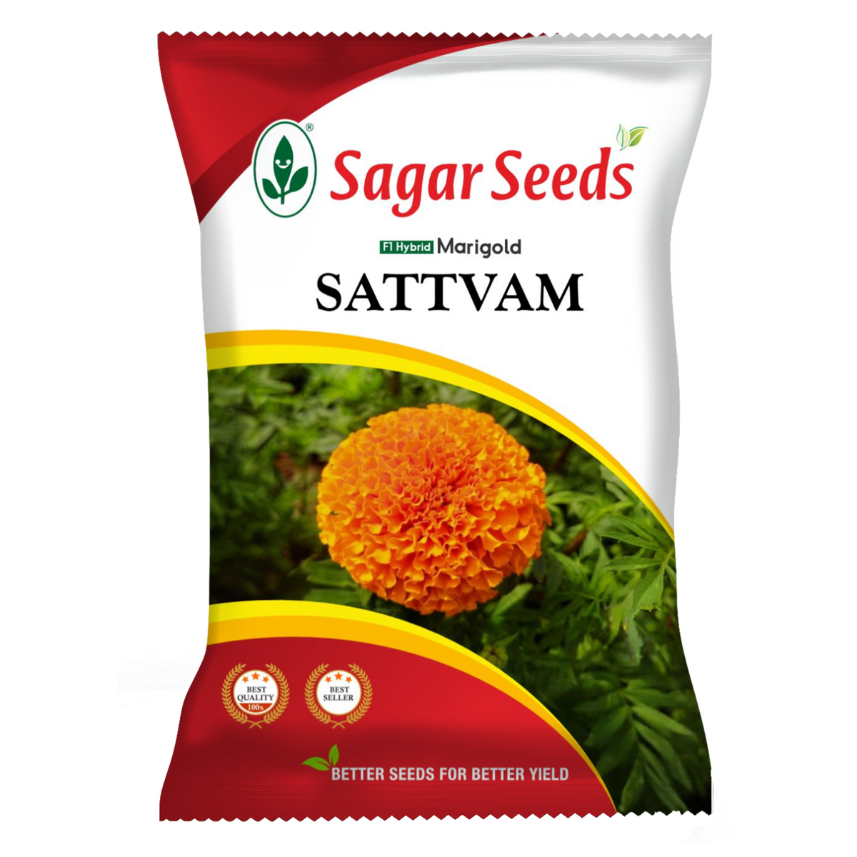 Satvam