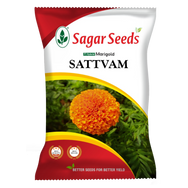 Satvam