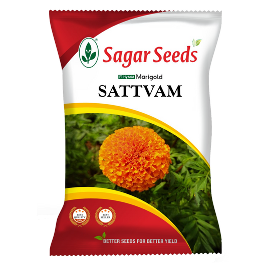 Satvam