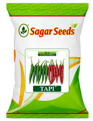 Tapi