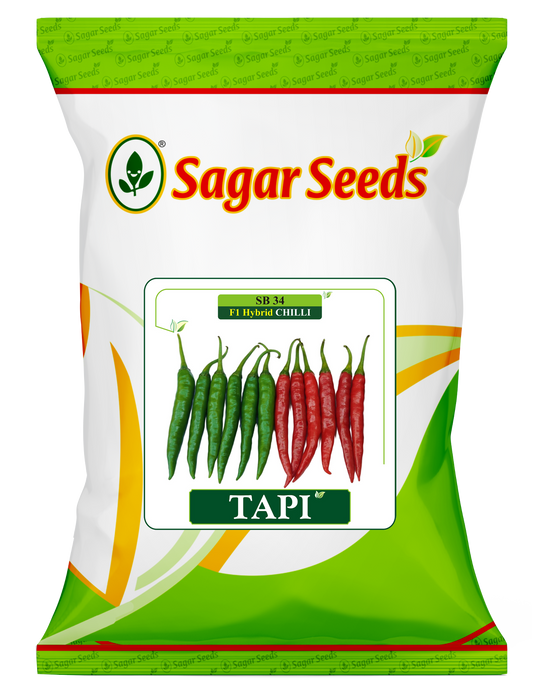 Tapi