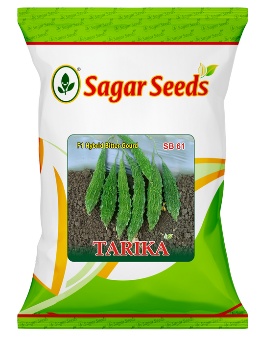 Tarika