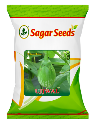 Ujjwal