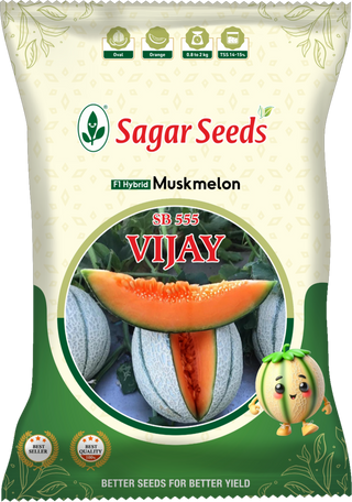Vijay