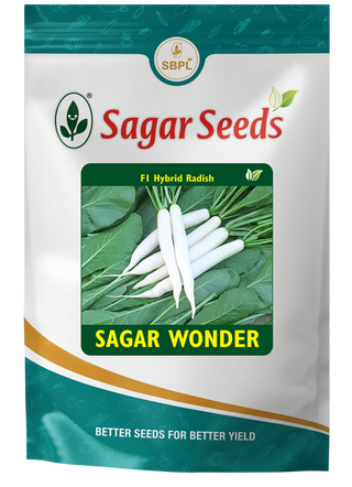 Sagar wonder
