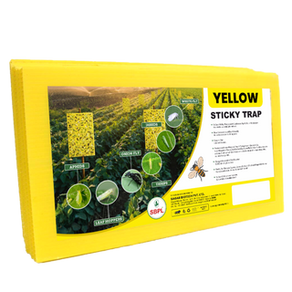 Yellow Sticky Trap Pack of 20 PCS